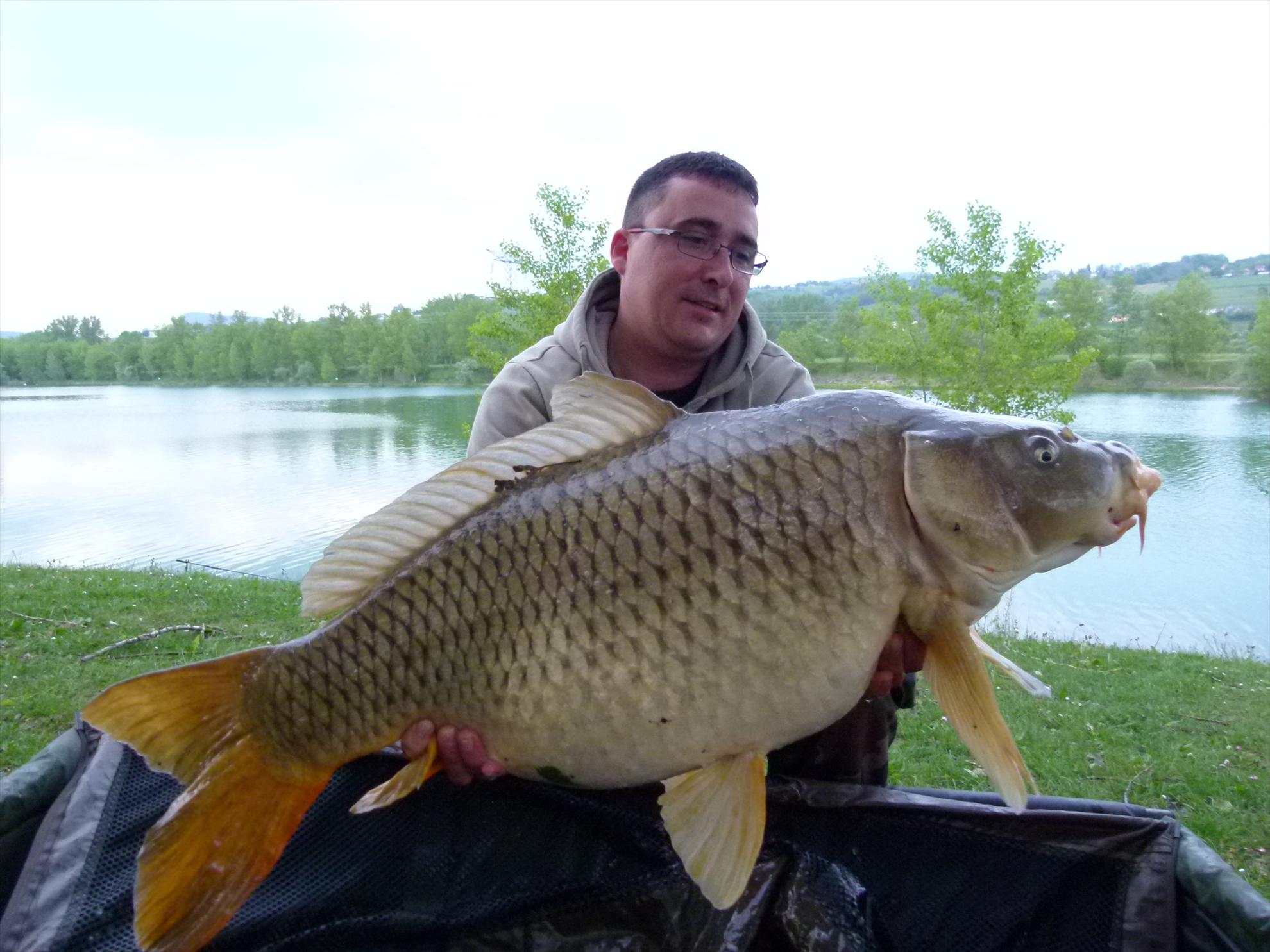 THE BIGS OF 2012 - p1000028.JPG